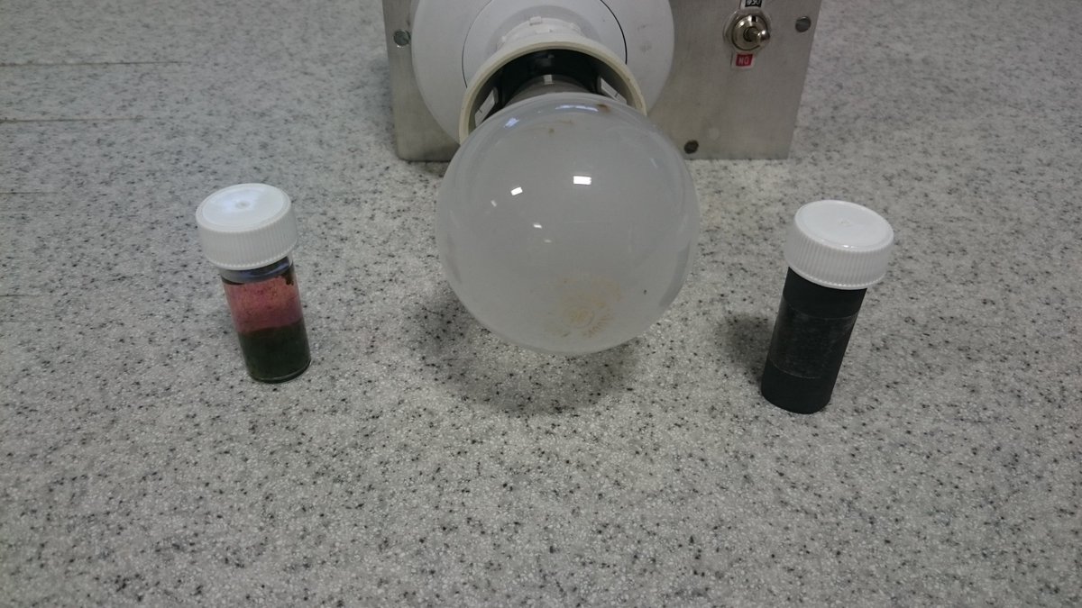 Miss_I_Iqbal's tweet photo. S3 investigation:  Photosynthesising Algal Beads!! #withlight #withoutlight #unit1 @SSERCofficial @SAPS_News https://t.co/i8qoCaakhh