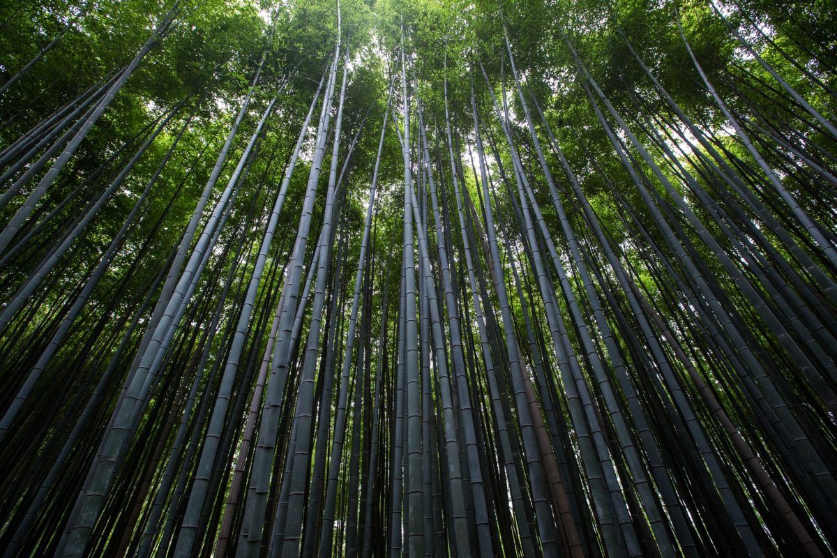 sw_mgmt's tweet photo. Lessons From a High Growth Startup Dropout https://t.co/BMX3BwPSbK  #startup #growth #leadership #software https://t.co/sF44wgYlRD