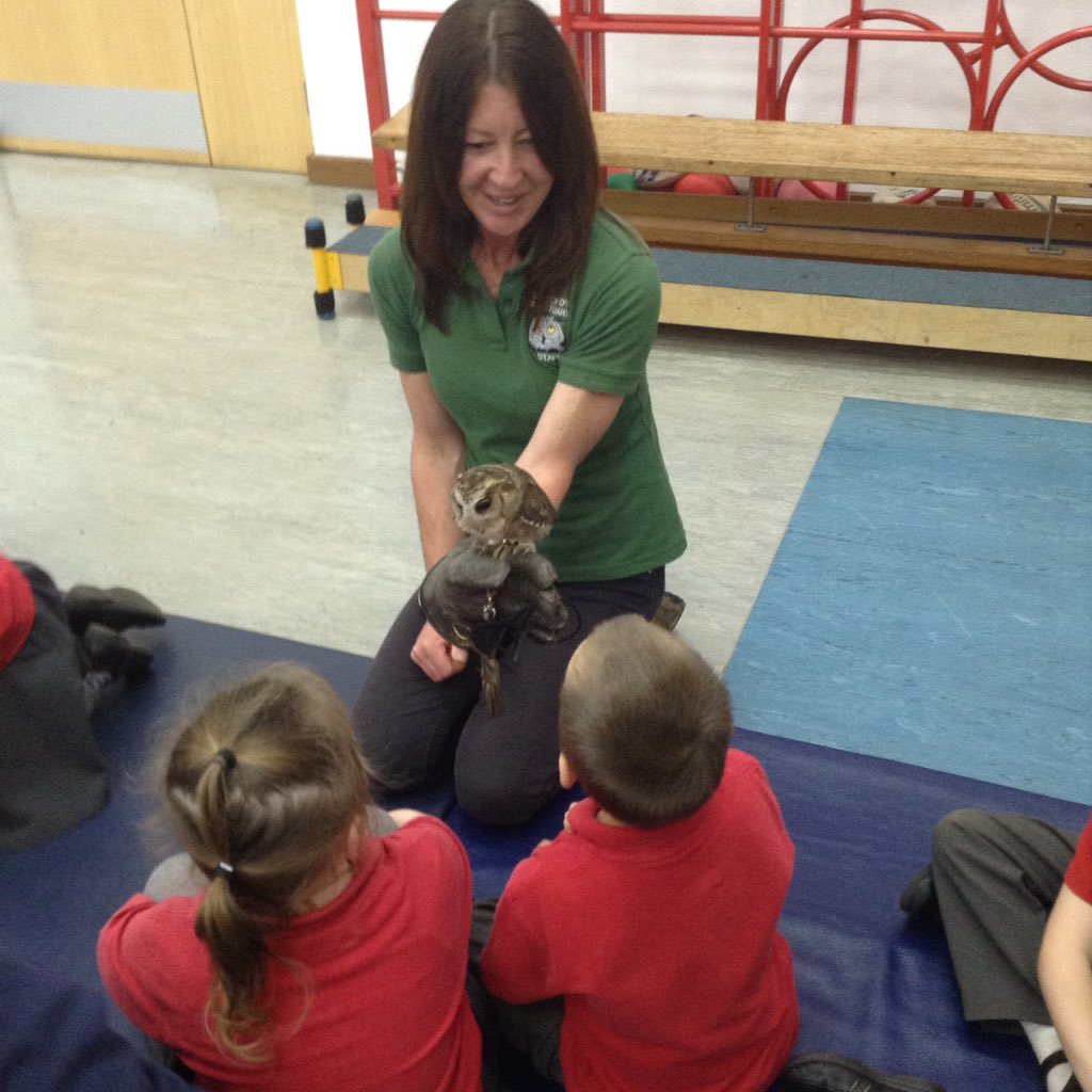 stnewlyneast's tweet photo. Thank you so much #screechowlsanctuary for bringing 3 incredible owls in for YF to learn from! #eyfs #learnthroughexperience @TLATCornwall https://t.co/CoXoyrSUKS