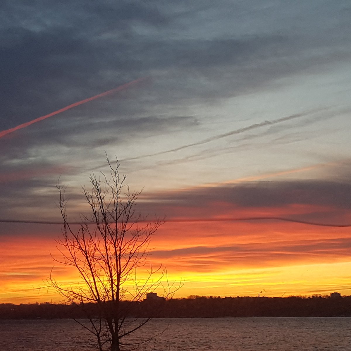 CarolinePicard's tweet photo. If you truly love nature, you will find beauty everywhere. #gatineaumornings #sunrise #beautifulmorning #stopandtakeaminute https://t.co/EbSBFkdOpm