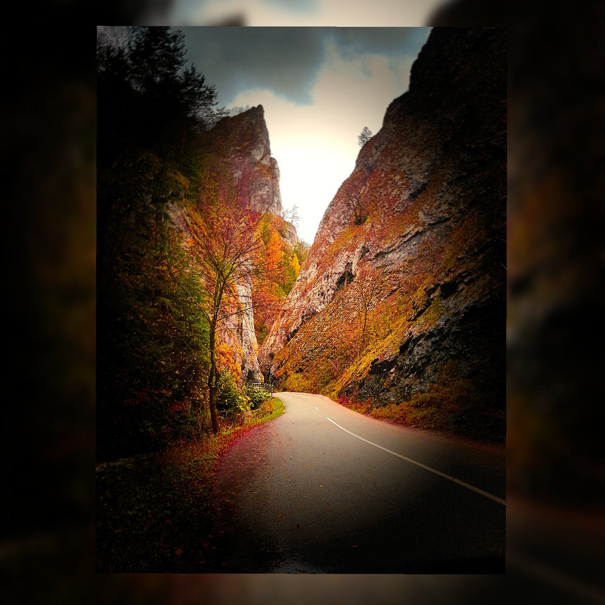 WorldTrip_TI's tweet photo. Slovaquie -2017- 🌍

#Slovaquia #Forest #Road #Automne  #Voyage #World #Trip #Worldtrip #Like 🗺

--> https://t.co/JYZbqs6llV
@WorldTrip_TI https://t.co/N17t3Gh3ud
