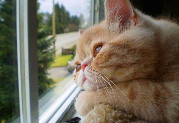 Camtasia's tweet photo. Waiting for #CyberMonday like... https://t.co/Gg443X2vOA