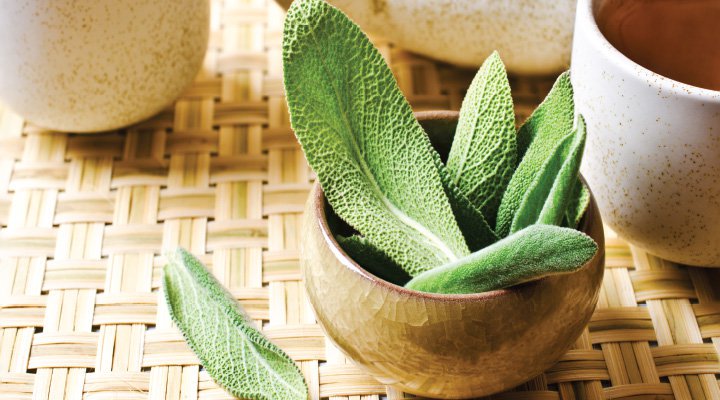 MyHCGProgram's tweet image. Sage, a culinary herb, is related to the mint family. It can be added to almost any dish as well as to smoothies, or drunk as a tea, and is known for its beneficial health effects. It can improve: diabetes, skin, memory, upset stomach and sore throat ht.ly/I7yO30gJoUH