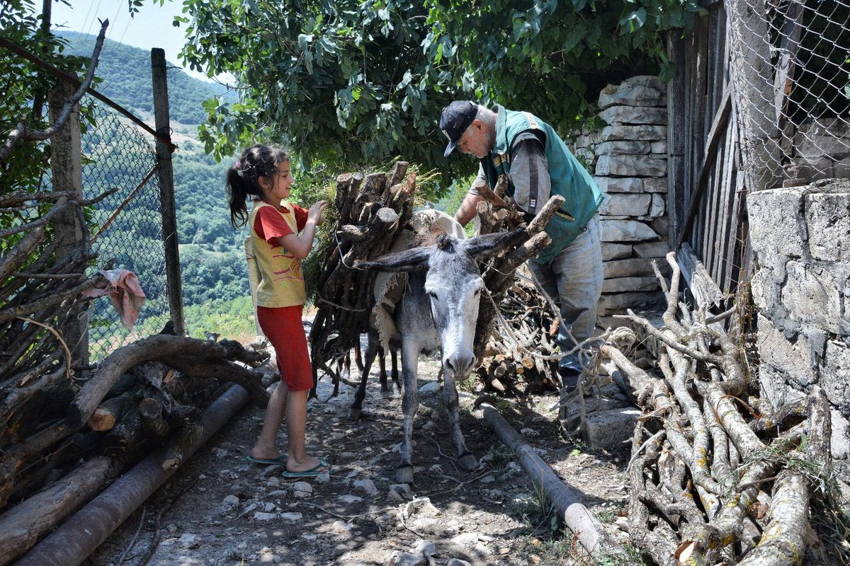 TheHALOTrust's tweet photo. Thanks to your generosity, the village of Myurishen in Nagorno Karabakh is now free from all known minefields. Read more here: https://t.co/eslFhjh60N
#nagornokarabakh #minefreeNK https://t.co/mnHOiIS2lU