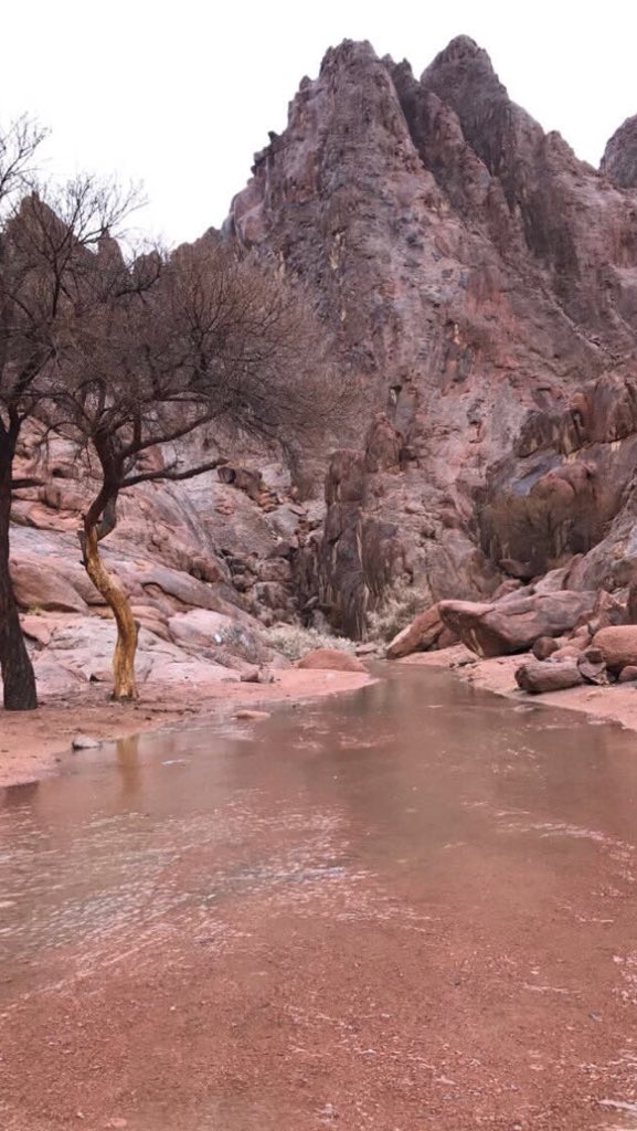 #امطار_حايل

ياملا السيل يا حايل