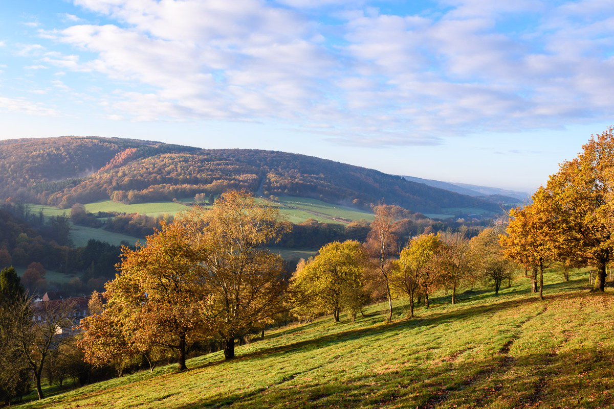 thdk90's tweet image. Last weekend was ideal weather to catch up with the GR125 trail. Check our some of my photos here: thdk.be/travel/hikes/g… and don't forget to see previous parts of the trail. #hiking #Wallonie #Belgium #trail #photography #landscapephotography #nature #herfst #Autumn
