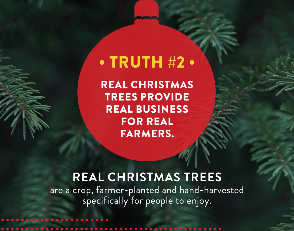 ChristmasTreePB's tweet photo. The myths around real Christmas trees are debunked!
Download the Infographic here: https://t.co/gqPMMWRz3r
#ItsChristmasKeepItReal https://t.co/lf6zdnduyo