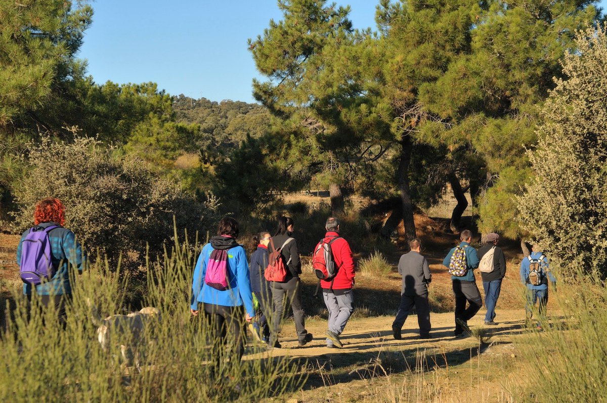monfrague_'s tweet photo. Fotos Ruta #cicloturista y #senderista en familia “San Cristóbal - Tumbas antropomorfas de El Robleo” celebrada el domingo 19 por el Mes de la #ReservadelaBiosfera de #Monfragüe y organizada por @MonfragueT @UNESCO_MAB @DiputacionCC @Turismo_DipCC @Extremadura_tur @MonfraguePN https://t.co/QoZ92i1mQl