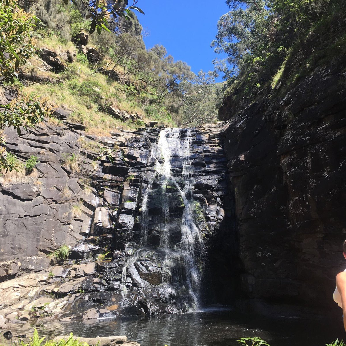 Australia is unreal 🇦🇺✈️