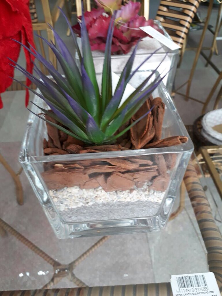 Natália Frutuoso (@nataliafrutuoso) on Twitter photo 