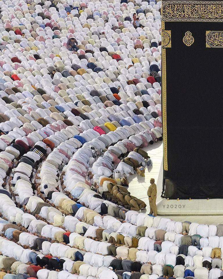 its__shai's tweet photo. 🌺السلام وعلیکم ورحمۃ اللہ

🌞 صبح بخیر

🌺يَآ اَيُّـهَا الَّـذِيْنَ اٰمَنُـوٓا اَطِيْعُوا اللّـٰهَ وَاَطِيْعُوا الرَّسُوْلَ وَلَا تُبْطِلُوٓا اَعْمَالَكُمْ🌺

🍃(33)سورہ محمدؐ 🍃

🌺اے ایمان والو!
🌺🍃اللہ🍃کا حکم مانو اور اس کے رسول کا حکم مانو اور اپنے اعمال کو ضائع نہ کرو🌺 https://t.co/Q6l1Ak8Nrq