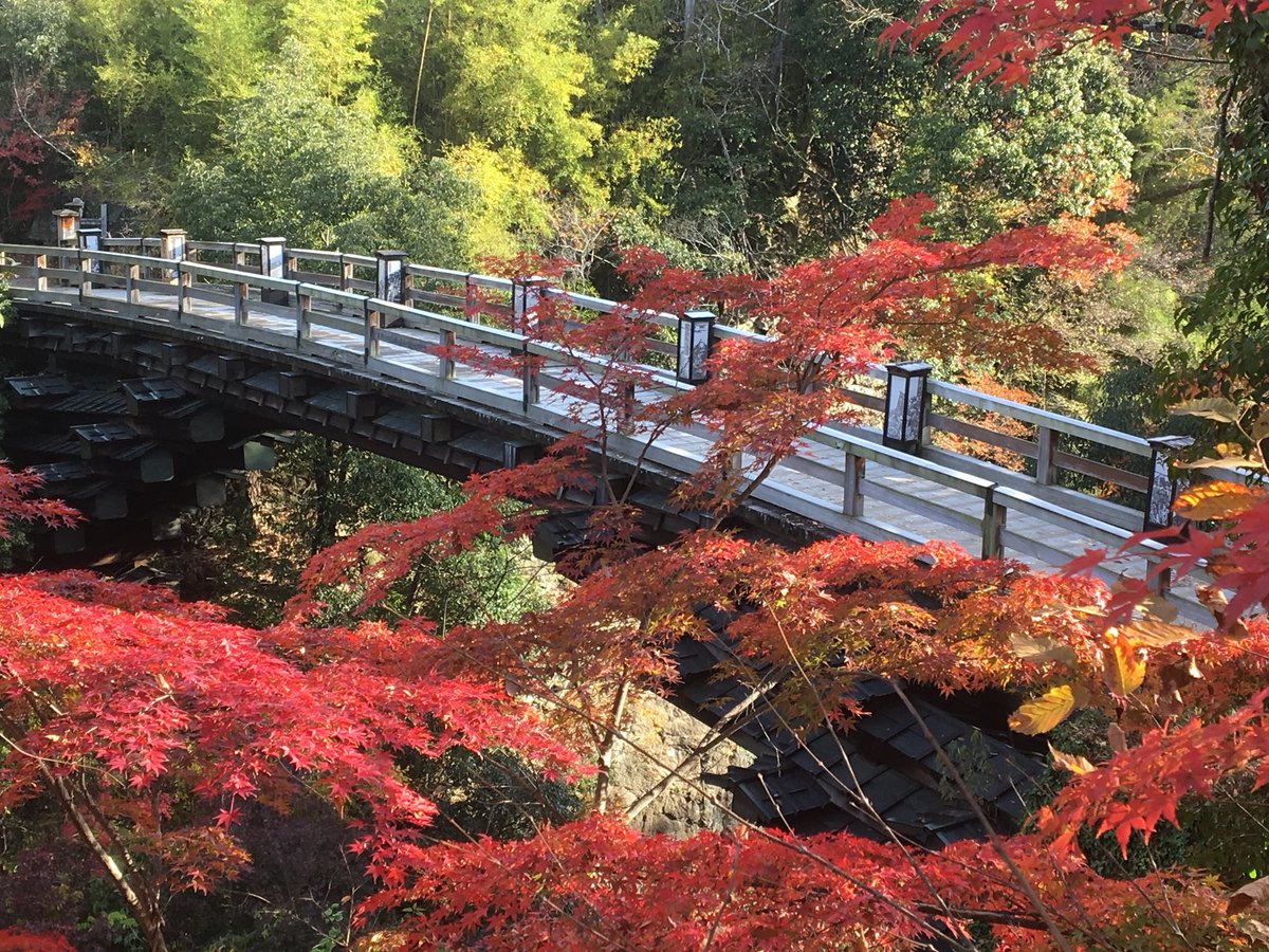 大月市観光協会 בטוויטר 本日の猿橋 紅葉まだ充分楽しめます 国道号の橋の上 新猿橋の上からも是非回って見てください 紅葉の色々な表情が楽しめます T Co Fjv4zru9sb
