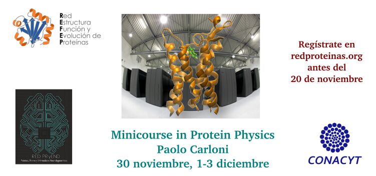 redproteinas's tweet photo. Sigue abierto el registro para el minicurso en #ProteinPhysics impartido por Paolo Carloni organizado por la #PRyEND  y @redproteinas https://t.co/Z2FGb5JGEy