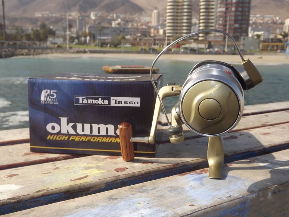 BuceoOceano's tweet photo. Puedes encontrar variados productos de #pesca en nuestro local, #multifilamento #cañas y más! 🐟
📍Local 11, #Balneariomunicipal 
#Antofagasta https://t.co/pr20xZQEbg