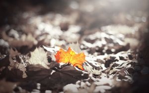 TheThinkingMuse's tweet photo. #ImagesThatInspire https://t.co/9jTkVXWXVn