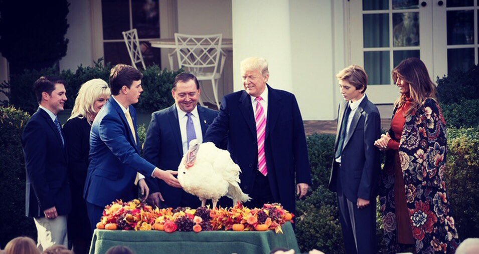FLOTUS45's tweet photo. Congratulations to Drumstick on the pardon from @Potus ! We loved having you &amp; Wishbone at the @WhiteHouse. https://t.co/4KGKOVZGHq