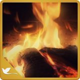 appsandroidsell's tweet photo. 👏 #3: Calm Fireplace TV #Apps #android ➕Vendidas 👉         https://t.co/JzsjAQTknQ         👈 appsandroidsell #androidapps https://t.co/G1lTQqgi3G