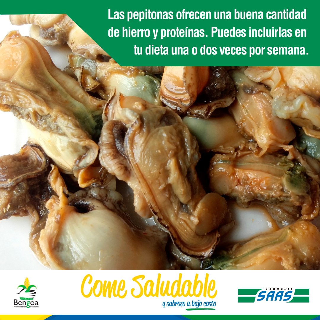 Farmacia_SAAS's tweet photo. Moluscos como pepitonas y chipi chipi pueden consumirse hasta dos veces por semana, aprovecha sus propiedades nutricionales que además de proteínas incluyen gran cantidad de minerales como hierro, sodio y yodo.
#SaludbleConSAAS #FundaciónBengoa https://t.co/oxfiSM5vv2