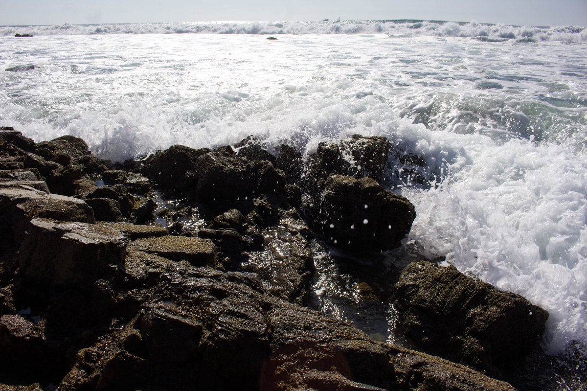_kdfoto's tweet photo. Having insane withdrawals from this place filled with beauty & life 😭😭💙💙
#crystalcove #tidepools #wavy #lettheseasetyoufree #barnicles #hermitcrab #ocean #naturephotography #canon #oceanconservation #sealife https://t.co/Gl7aqojqYQ