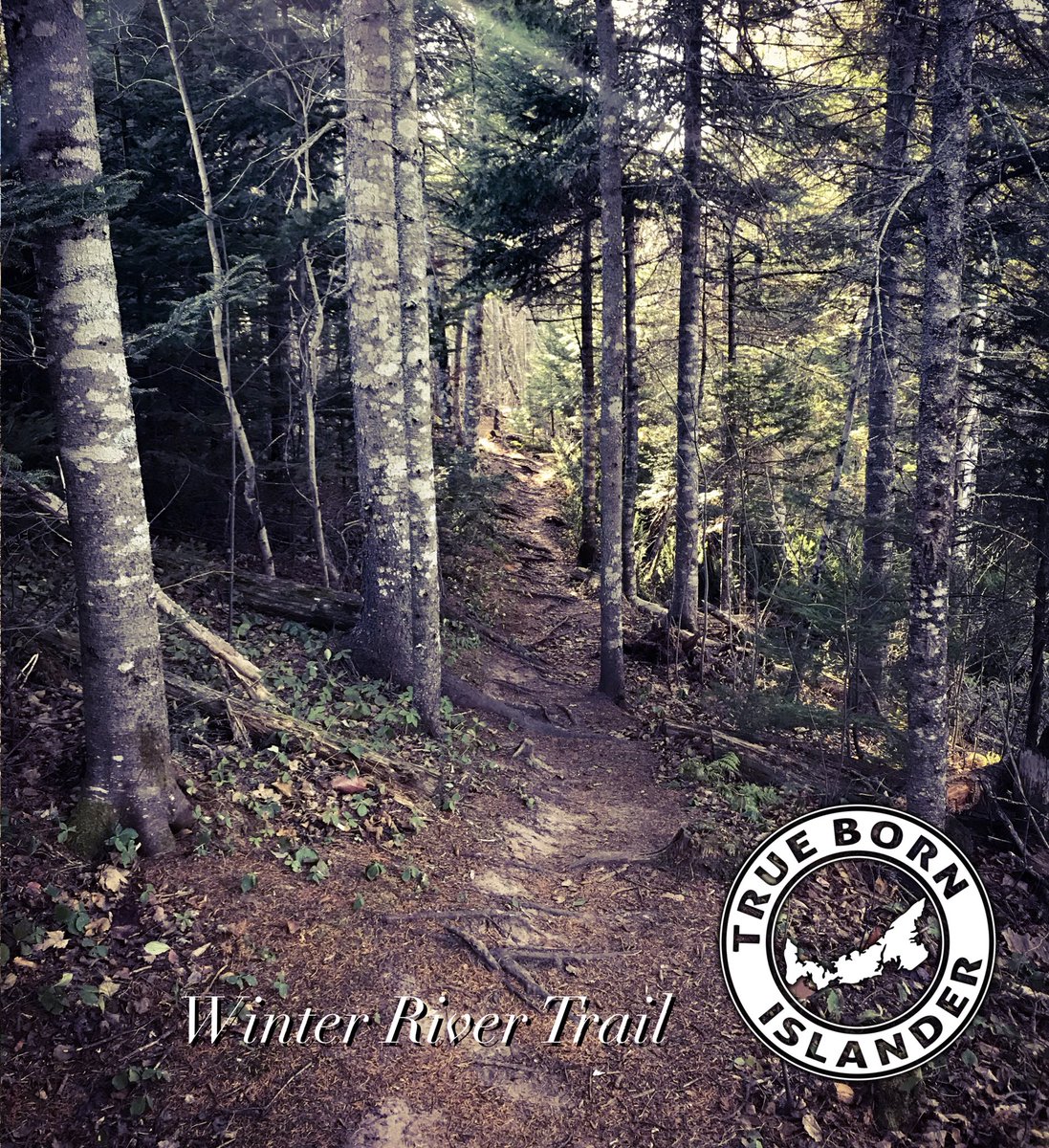 TB_Islander's tweet photo. #apparel #pei #tbi #islanderpride #islander #truebornislander #eastcoast #shoplocal #reddirtroad #country #repyourhome #home @TB_Islander https://t.co/F8bcZpbRMO