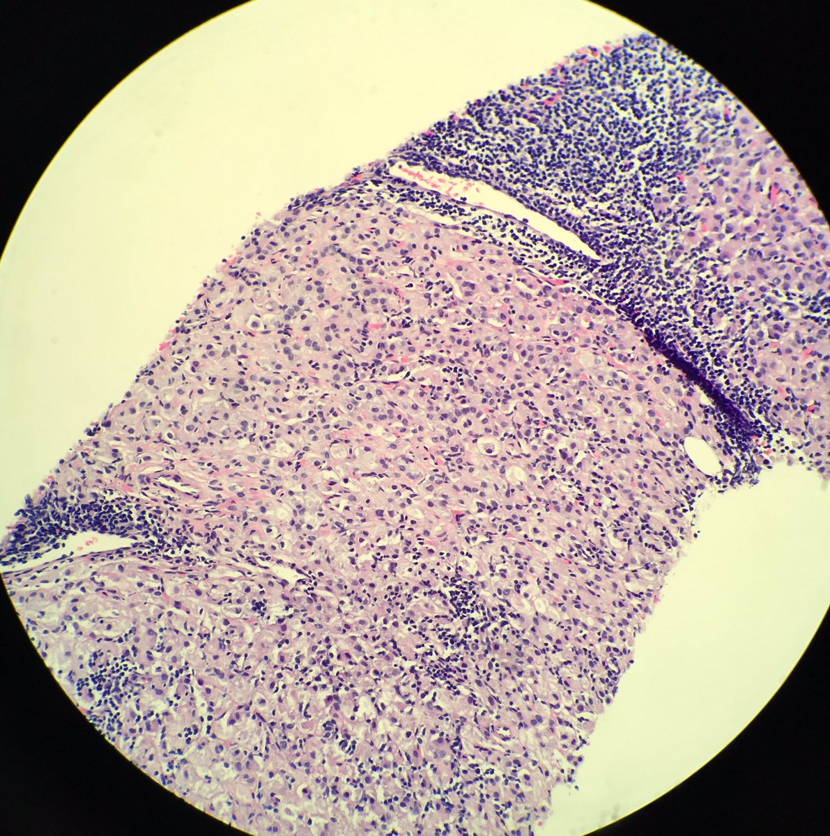 Donald Christensen tweet media