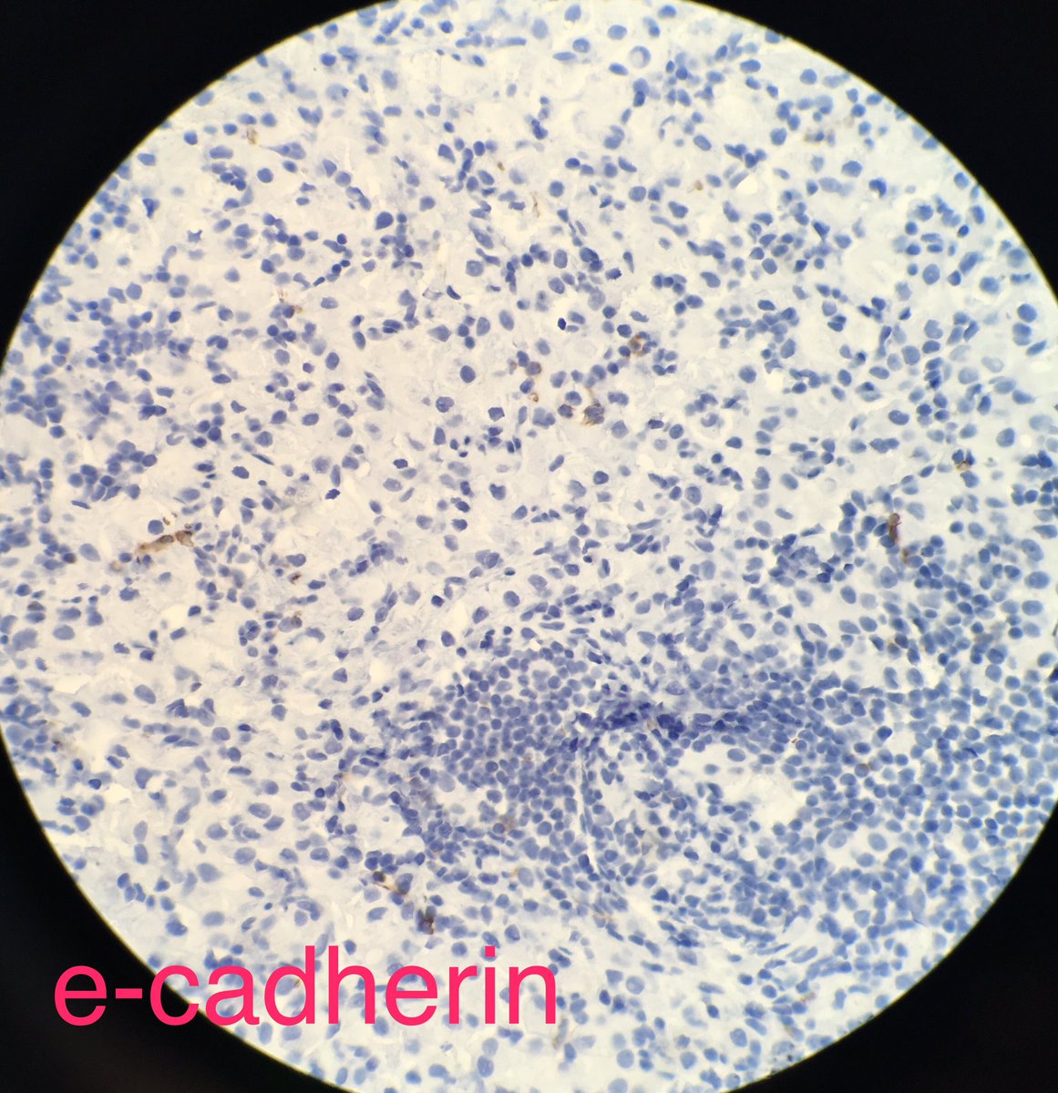 Donald Christensen tweet media