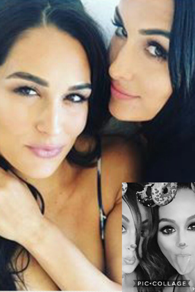 Happy Birthday Too My Favorite Twins Nikki & Brie Bella 