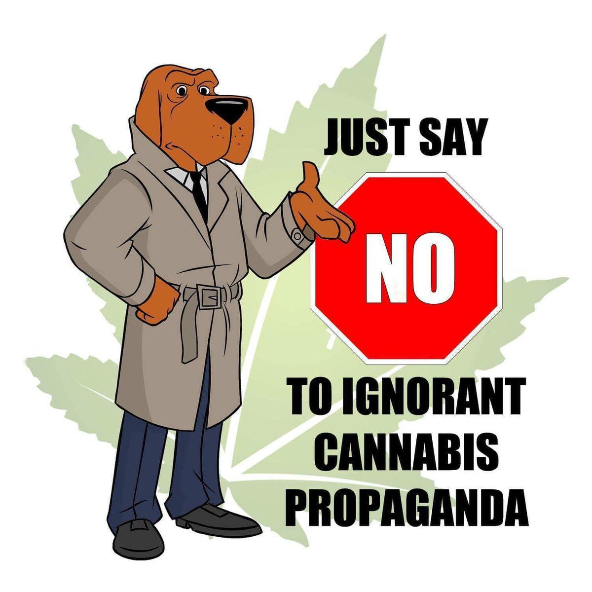 cbdedu's tweet photo. #medicalcannabis #cannabiswholeplant #cbdedu #cbdedu.us #cbdedueducator #420jobs #cannabis #cannapharmacology
#cbdoil #alternativemedicine https://t.co/5NIY5PmZim