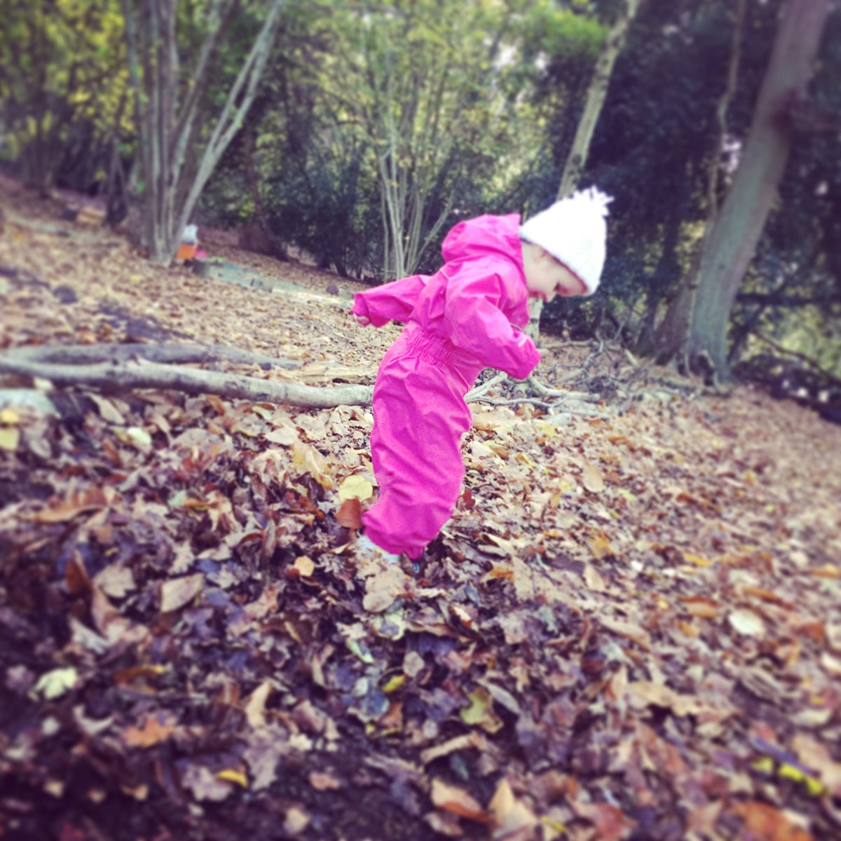 KidsGroWild's tweet photo. Stuck in the leaves! #autumnplay #leaves #seasons #kidsoutdoors https://t.co/05Co0IPPe8