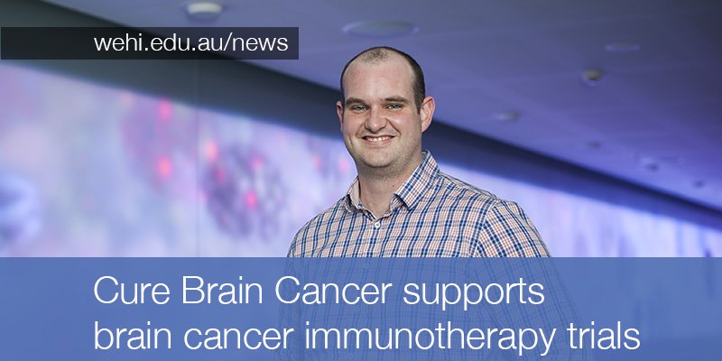 WEHI (Walter and Eliza Hall Institute) (@wehi_research) on Twitter photo Exciting new fellowship support from <a href="/braincancer_AU/">Cure Brain Cancer</a> will enable Dr Ryan Cross to lead new #immunotherapy trials for #braincancer
wehi.edu.au/news/cure-brai… Exciting new fellowship support from <a href="/braincancer_AU/">Cure Brain Cancer</a> will enable Dr Ryan Cross to lead new #immunotherapy trials for #braincancer
wehi.edu.au/news/cure-brai…