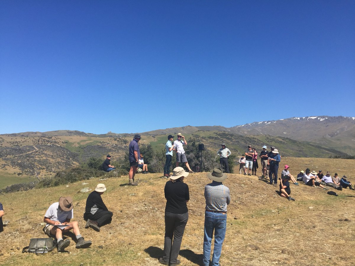 Fergenetics's tweet image. Great to be hearing a pragmatic and data based view point from Jacqueline Rowarth from the EPA at Matakanui Station today @NZBeefLamb
