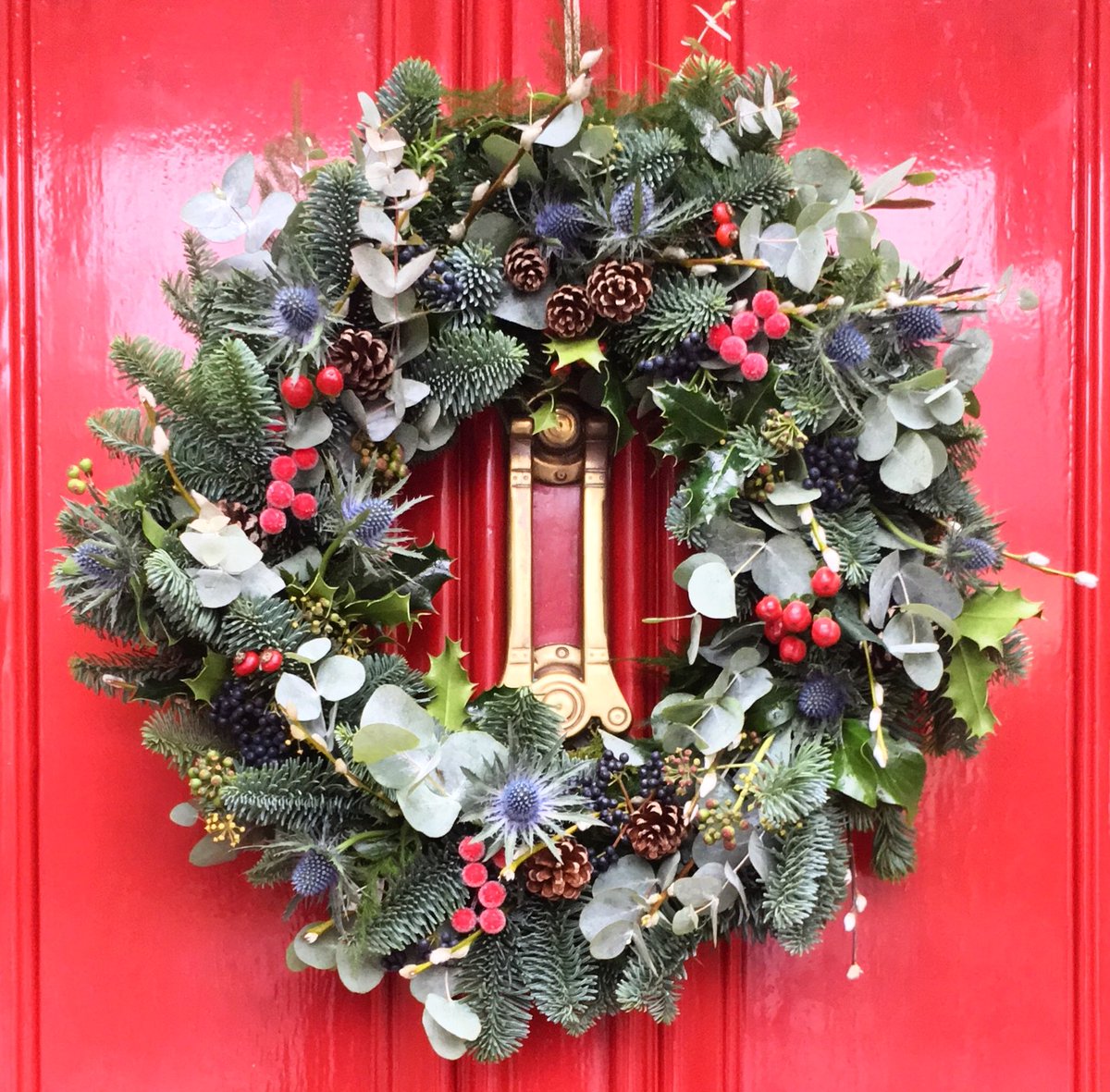 Christmas Door Wreaths🎄 ✨✨✨
Made to order or come and join me on a workshop throughout #December! Learn how to make a wreath from scratch 🎄#newport #christmas #wreaths #pembs #florist #doorwreath #spruce #festive #cymru #Nadolig #fishguard #northpembs! Get involved! ✨✨