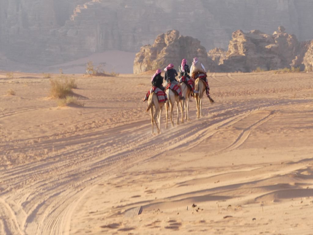 Trekking Wadi Rum by camel - an old practice that's still in use. 4x4s not so old - at least no wall art about it. #MyJordanJourney #AdventureisJordan #ifwtwa <a href="/VisitJordan_NA/">My Jordan Journey</a>