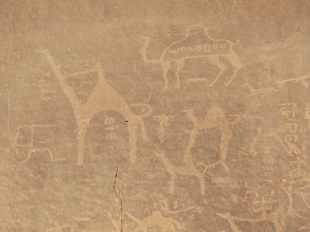 Elizabeth Willoughby tweet media