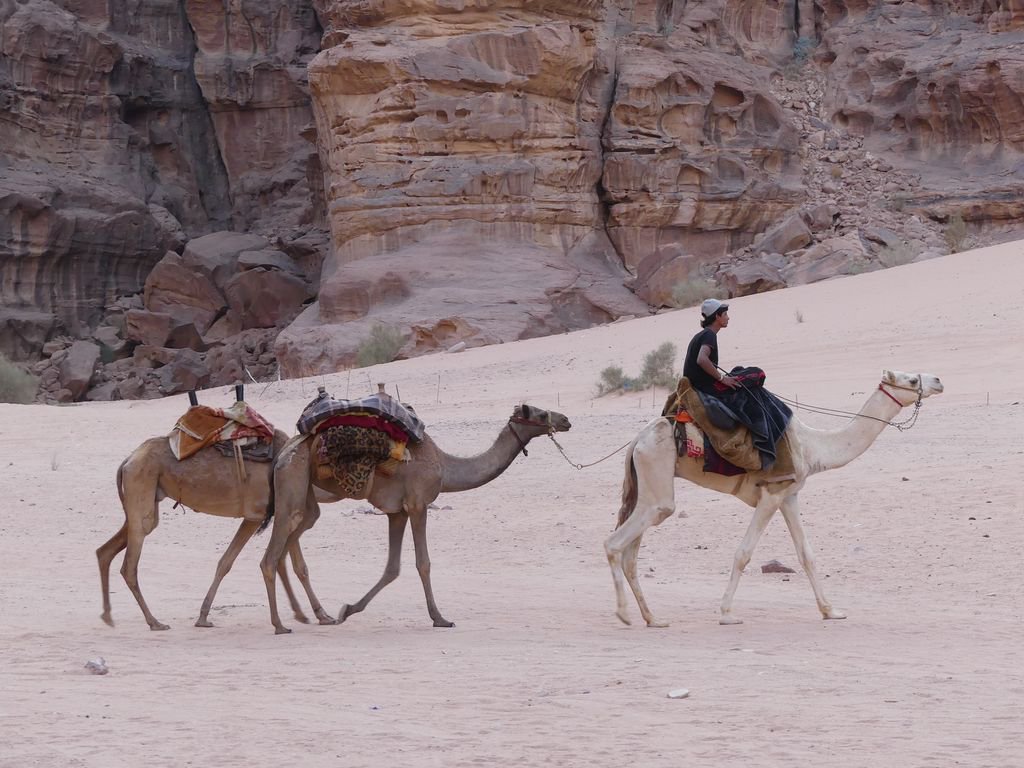 Elizabeth Willoughby tweet media