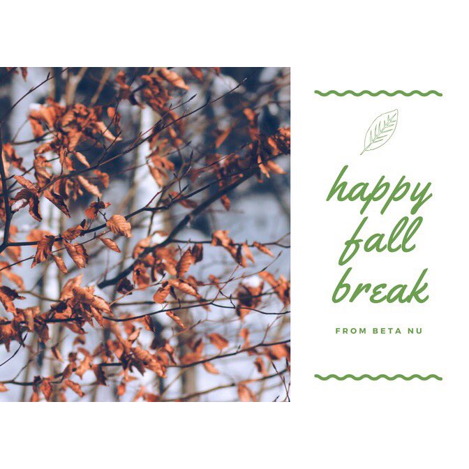 🍂 Happy fall break from #BetaNu 🍂