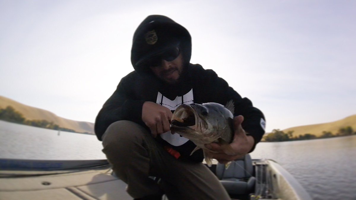 El_mas141's tweet photo. Love the football shape
#bassbrigade #fishing
#photography #outdoors #basspro #bassmaster #basselite #ikelive https://t.co/eYqyoReLNv