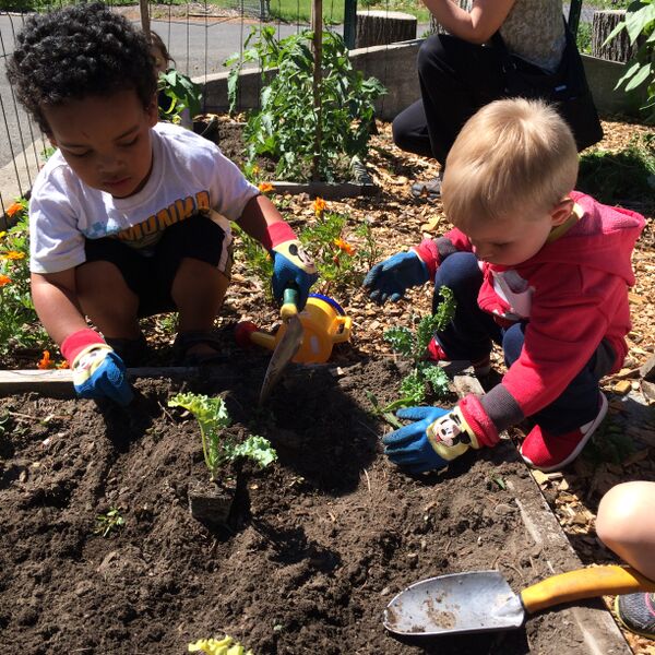 CCESchenectady's tweet image. This spring, sixteen children between the ages of 3-5 years participated in Little Diggers and connected to the environment with crafts, drama, games, and of course, gardening!