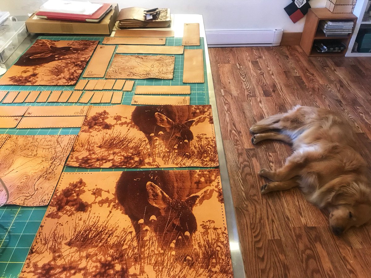 botanglenet's tweet photo. It’s important to have a helper when making journals, even when they are snoring. #goldenretriever #leatherjournals #handsewn #madeincolorado #photoengraving #laserengraved #art #photography #estespark #smallbusiness #familyrun #botangle https://t.co/TTCWDtMIiN