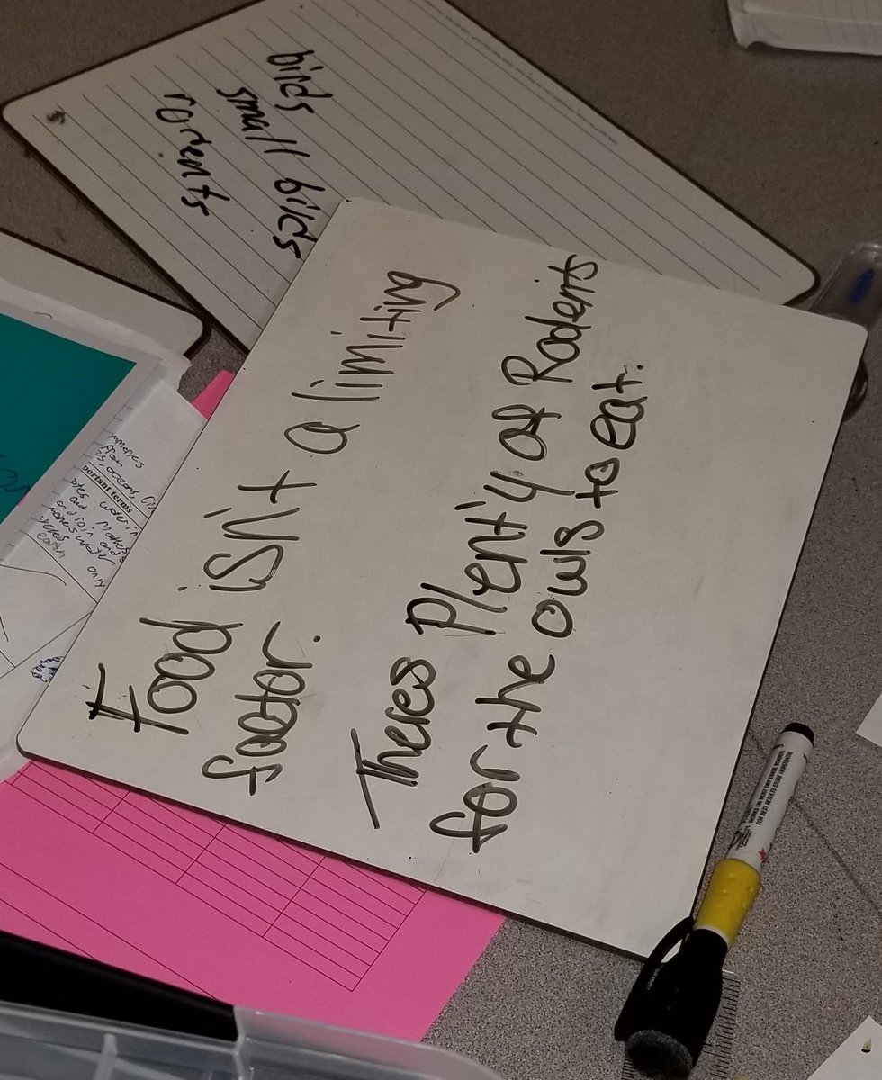 Jon Stevens tweet media