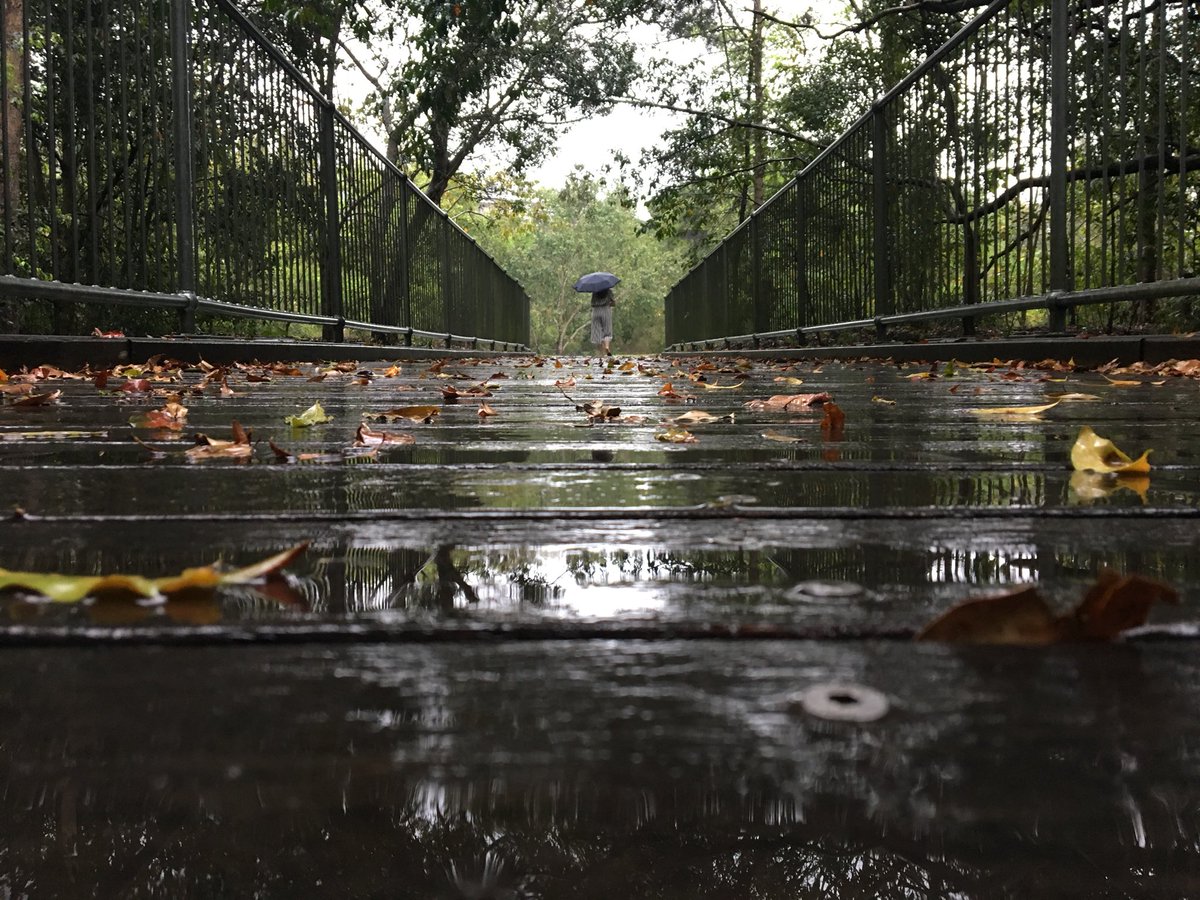 Happy #SnapBrisbane day! Share what you love about where you live. #rainyday #thegap