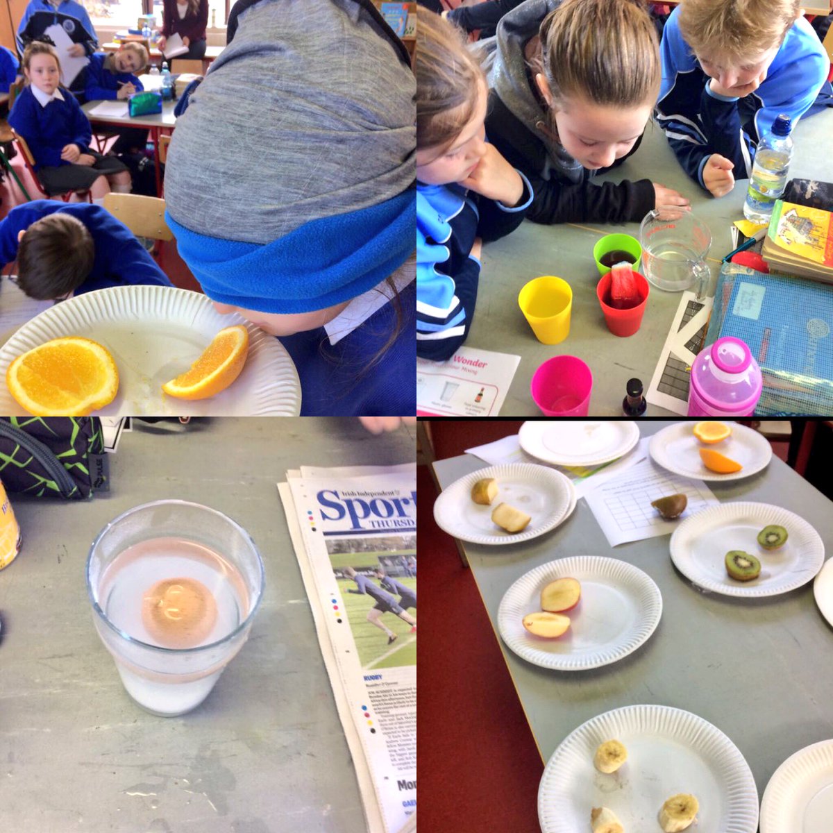 mooncoinprimary's tweet photo. 4th class @ScienceWeek activities-senses test, pulse test, paper towel colour mixing, coke &amp; mentos experiment and volcano experiment.⚗️🔬🔋🔍 https://t.co/80wmnhaOCd