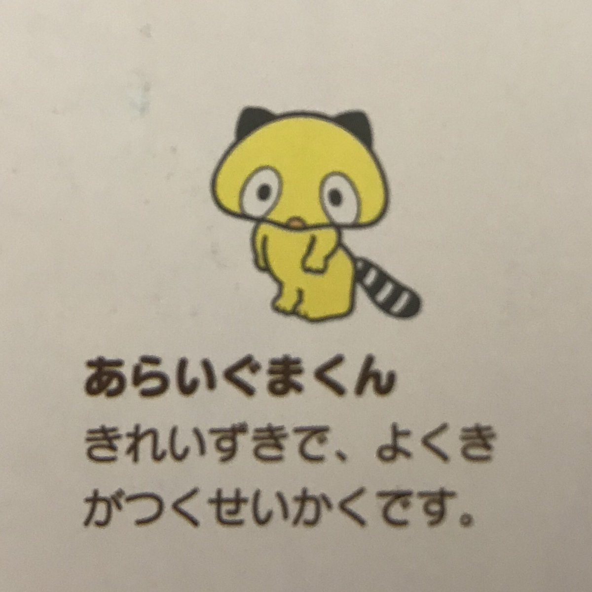 あらいぐまくん あらいぐまくん