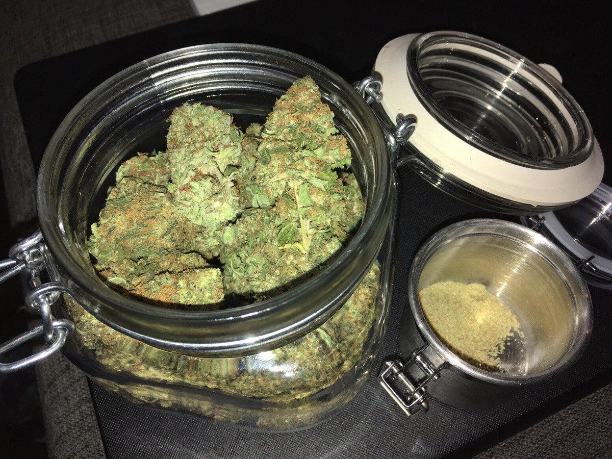 McColdy00's tweet photo. 😅😅we got supper strains available😎😎

hit (702) 500-4137 or (904) 601-4399😲😲 https://t.co/wsHvg2VimK