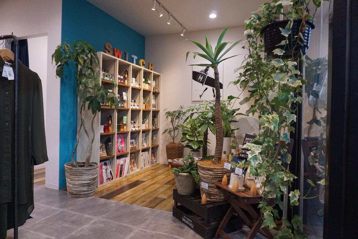 賑わいシゴト アパレルショップで観葉植物を販売した事例です 他のショップと差別化したいオーナー様と 植物の魅力を知ってもらいたいという思いが一致 グリーンコーディネーターが お店の雰囲気に合う観葉植物をご提案します T Co Sukpmw8kju
