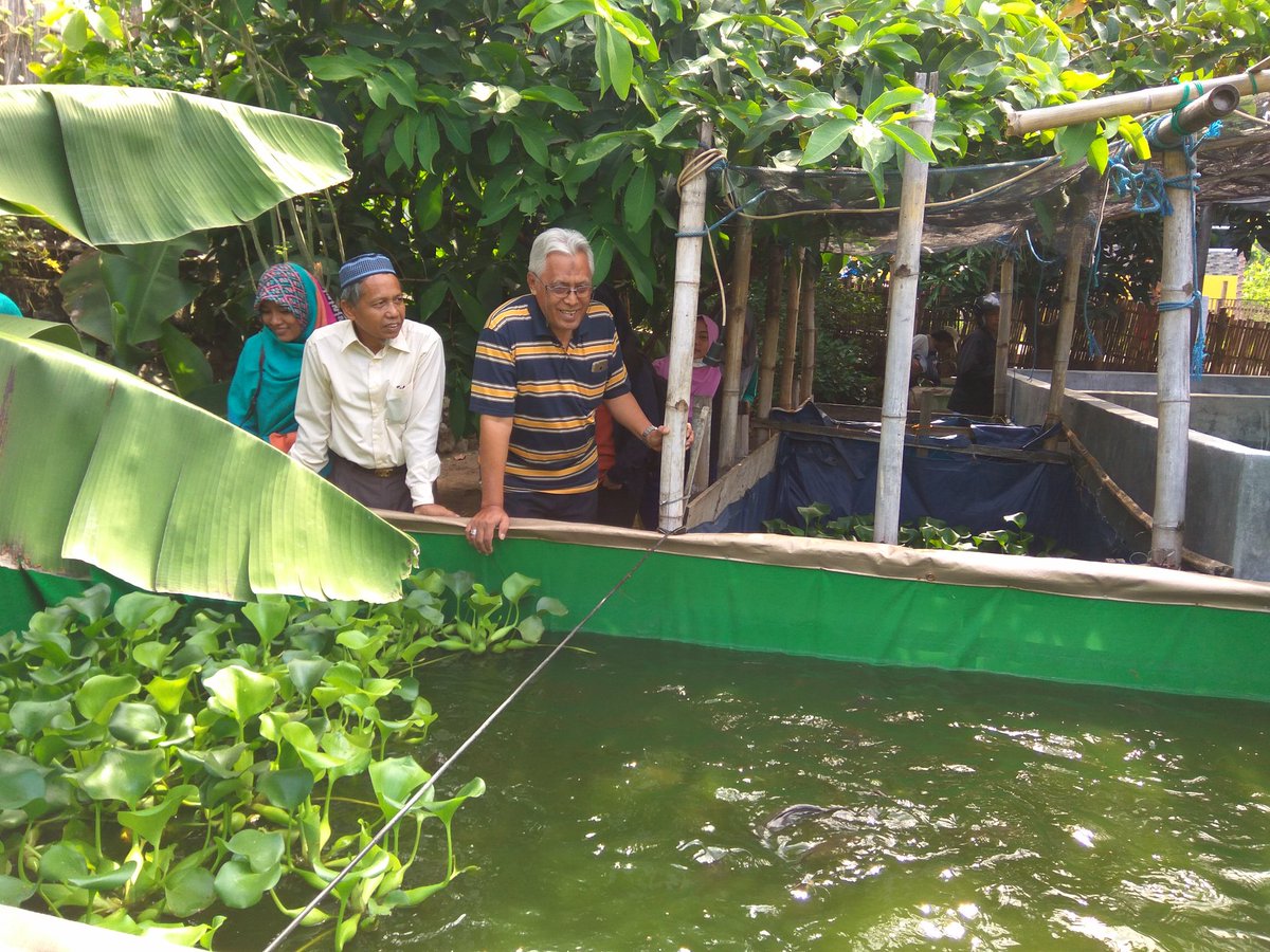 AfifvanMaidin's tweet photo. Pendampingan kegiatan Monitoring dan Evaluasi pokmas budidaya @ccdpifad -IFAD kota parepare oleh tim PMO CCDP IFAD.
@mzulficar @susipudjiastuti @brsdm_kp  @BudidayaKKP @asunaryanto @MHasyimZaini @PPBPUSLATLUHKP https://t.co/LiOk1VNw4F