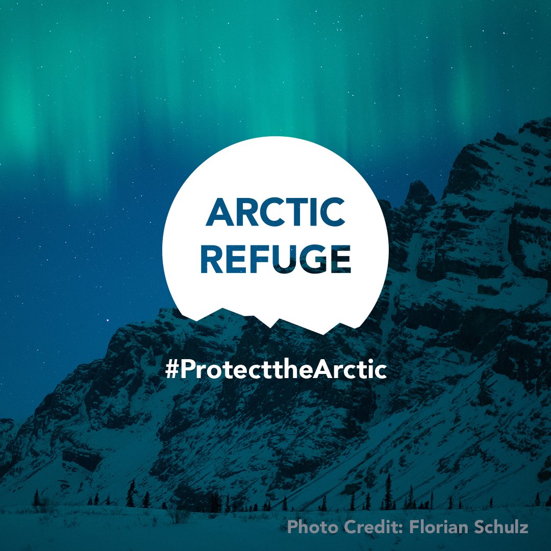 Shailene Woodley tweet media