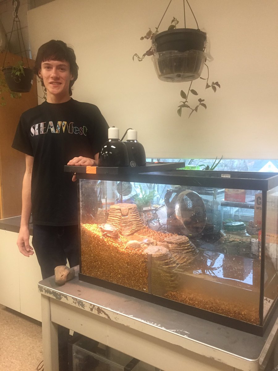 bcsdscienceclub's tweet photo. Picasso, our painted turtle, receives a new habitat fit for a king thanks to Science Club member Ayden Martinez's hard work. Thanks Ayden #BPatriotProud #BHS @BinghamtonCSD @Kevin_Richman https://t.co/ynwyXsULK3