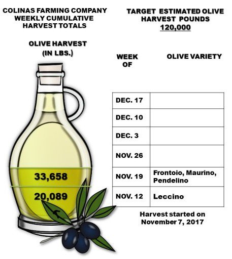 ColinasFarming's tweet photo. Colinas Farming Company started its olive harvest on November 7, 2017. Below are our weekly cumulative harvest totals. Click on  https://t.co/vXH5y2Zuh9 to learn more about @ColinasFarming Company. https://t.co/q1v3eEczG2