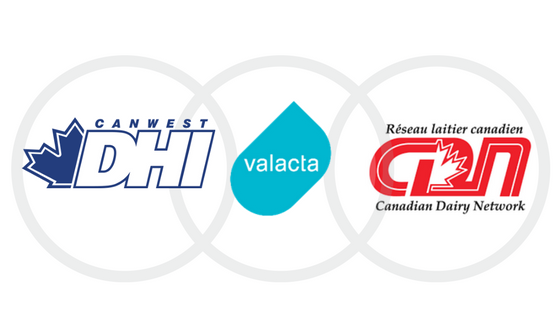 CanWest DHI tweet media